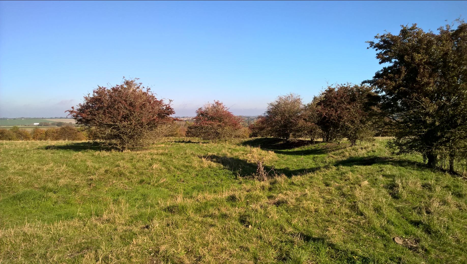 Looking NE at the barrow across the ditch. The trees on the right are growing along the top of the bank. The shadow of the nearest one falls down into the ditch and up the other side onto the barrow showing you the slope.