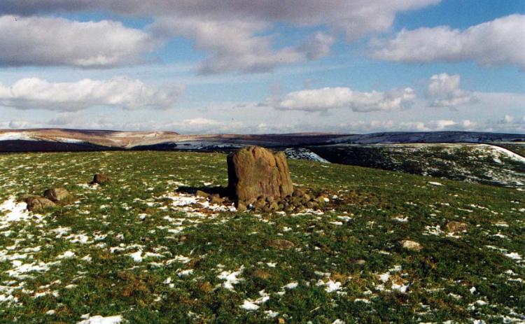 A forgotten stone circle above Macclesfield near Wincle.  Located at approx SJ956677.

Vicky and I have submitted an article to Northern Earth on this site as potentially it is unique in NW England.
