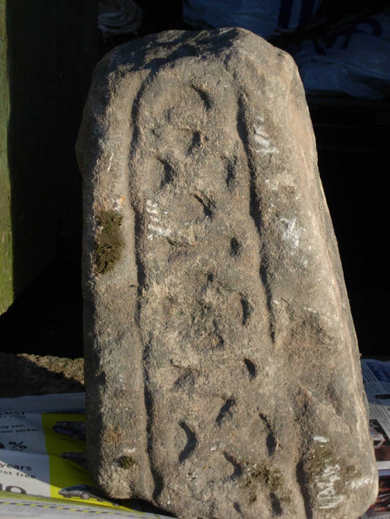 Site in Cheshire: This tip of a 9th or 10thC cross shaft is in storage at Blue Boar Farm. It may have originally stood at the nearby junction of Bank Lane and Erwin Lane. The rest of the shaft is missing. Compare it with similar shafts at Cleulow and at Leek.
