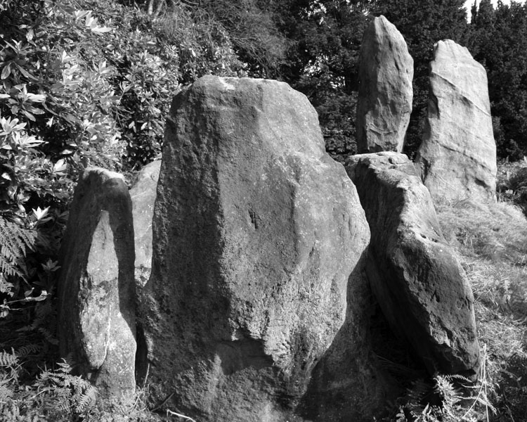 The Bridestones - September 2007

Today it is hard to imagine the original splendour of this structure, but, nonetheless, the size and strength of the stones still make a powerful statement. The surrounding folliage encloses the site and somewhat reduces the impact and grandeur of, what in reality, is one of the major sites of its type in the country. The decaying Ministry of Works sign from the