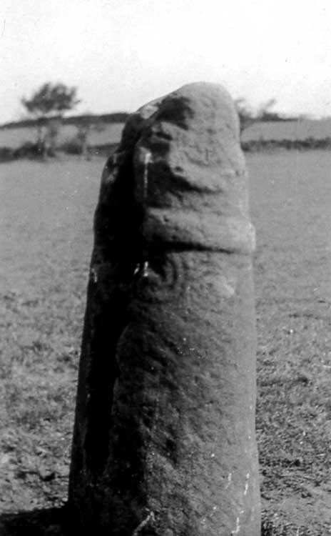 This photograph shows the Axstone insitu near Axstones Spring Farm probably taken in the early 1950s by the Macclesfield historian, Walter Smith. Picture curtesy of Doug Pickford.