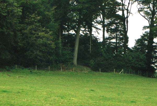 The remains of High Billinge Round Barrow in Cheshire, much flattened and covered in trees.