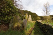 The Bridestones (Cheshire) - PID:88262