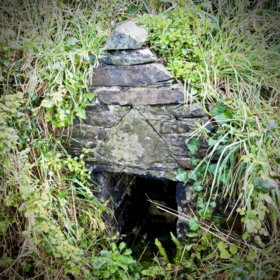 April 2024. The wellhouse of St Morwenna’s Well on the cliff face west of Morwenstow church. This structure was built at the behest of Parson Hawker of Morwenstow in the 1840s. It is now a Grade II listed building and not very accessible. The well itself is dry and has been so for some time. Apparently the spring now emerges further down the cliff… the OS map marks St Morwenna’s Well at grid
