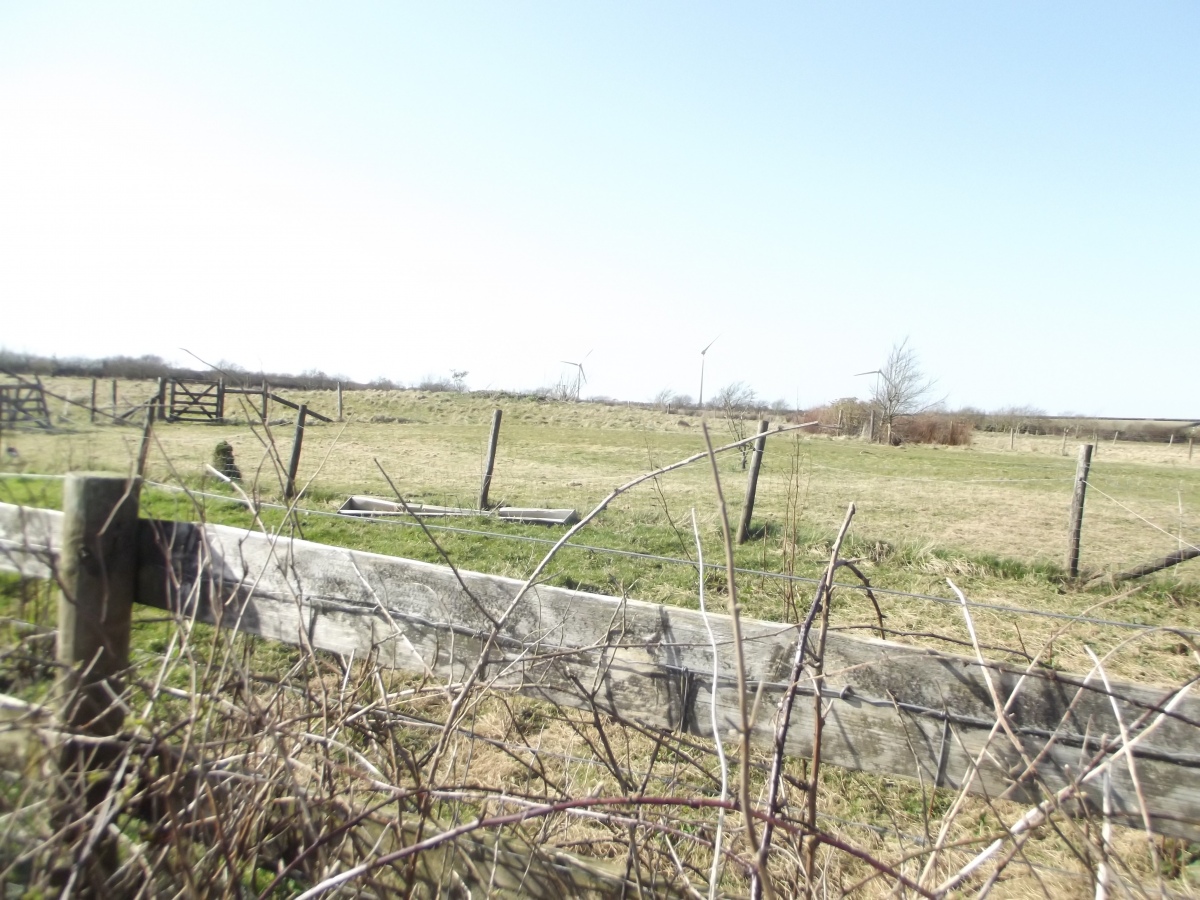 Terrible shot over fence and brambles of slighter mound at SS 25337 14429 
