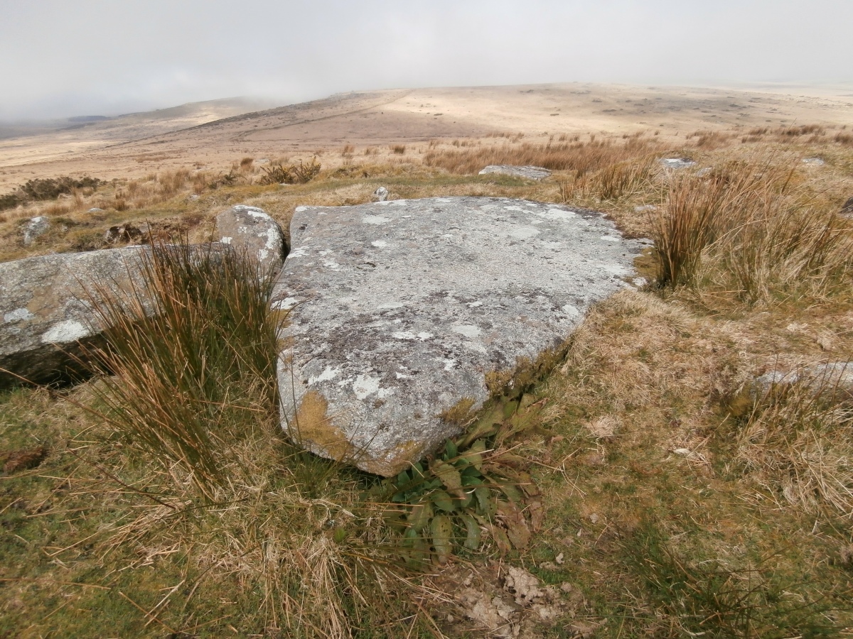 The large capstone of Tolborough Tor Cairn.