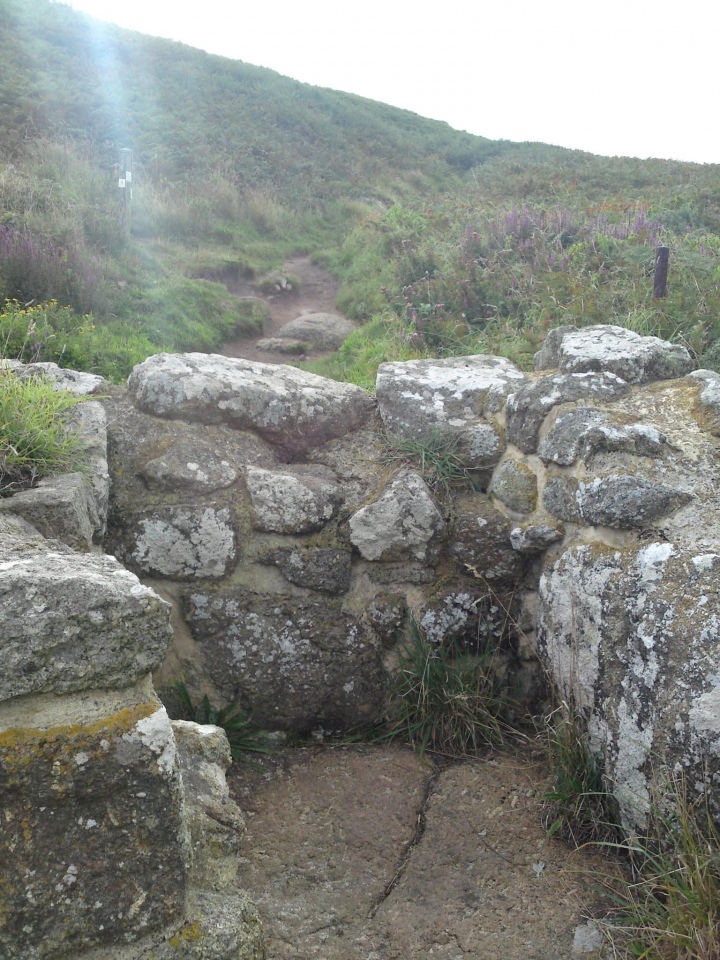 The well cell, 2010