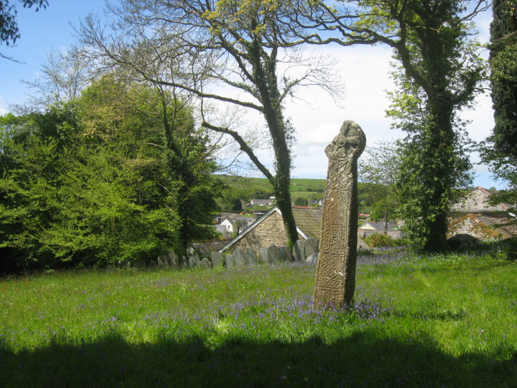 This 10th Century wheel-headed cross, in the bluebells on 14th May, had much more atmosphere than the Annicu Stone, which we saw inside the church when it was opened later that day for bell-ringers' practice. 
[Bell-ringing also at St Kew that evening; Wednesday seems to be the best day for finding some churches open.]