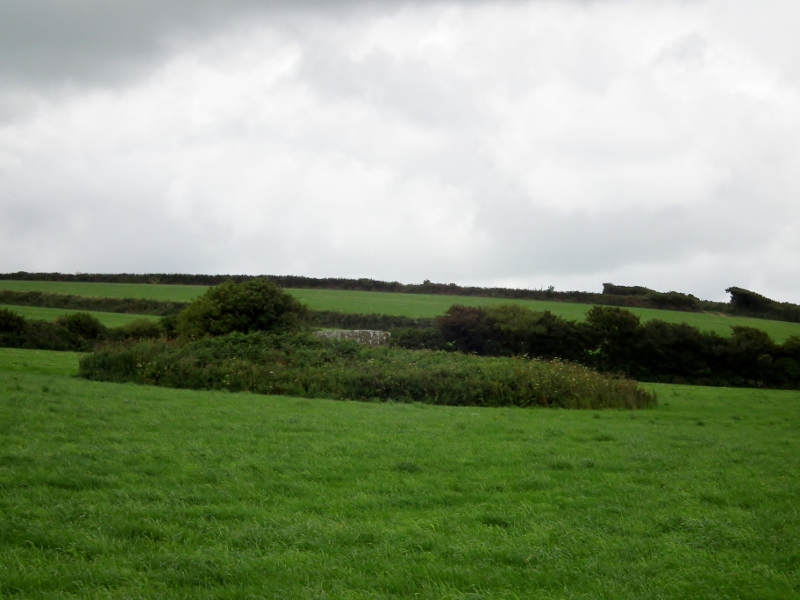 Pawton Quoit