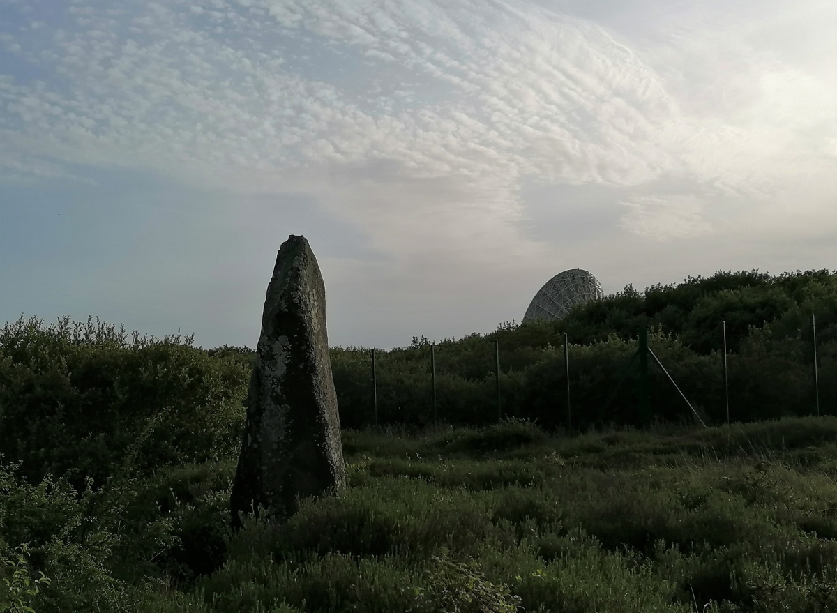 Dry Tree Menhir