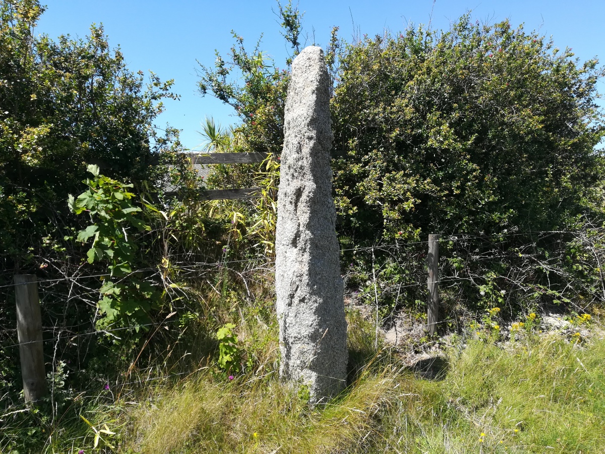 Phillack Towans Stone

