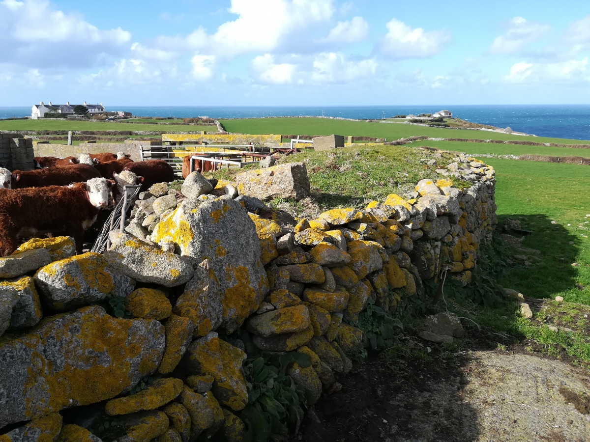 Pendeen Fogou from the outside