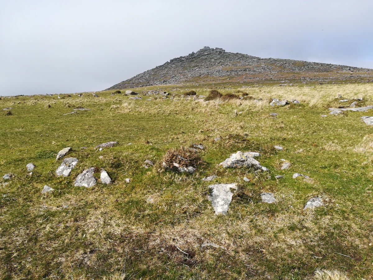 Roughtor South, A hut on the Western side of the settlement