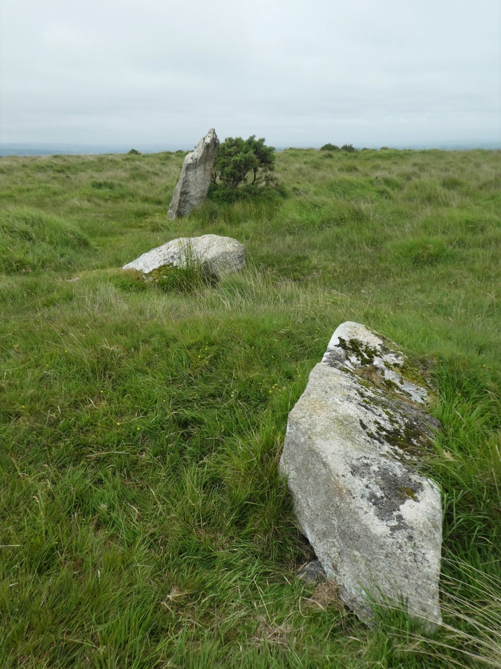 The big stone stands proudly, while near to it are two other similar stones, now prone on the ground making a short row of three. 