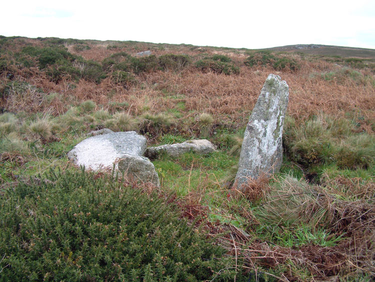 A view of the quoit looking west. It is hardly recognisable for what it is.