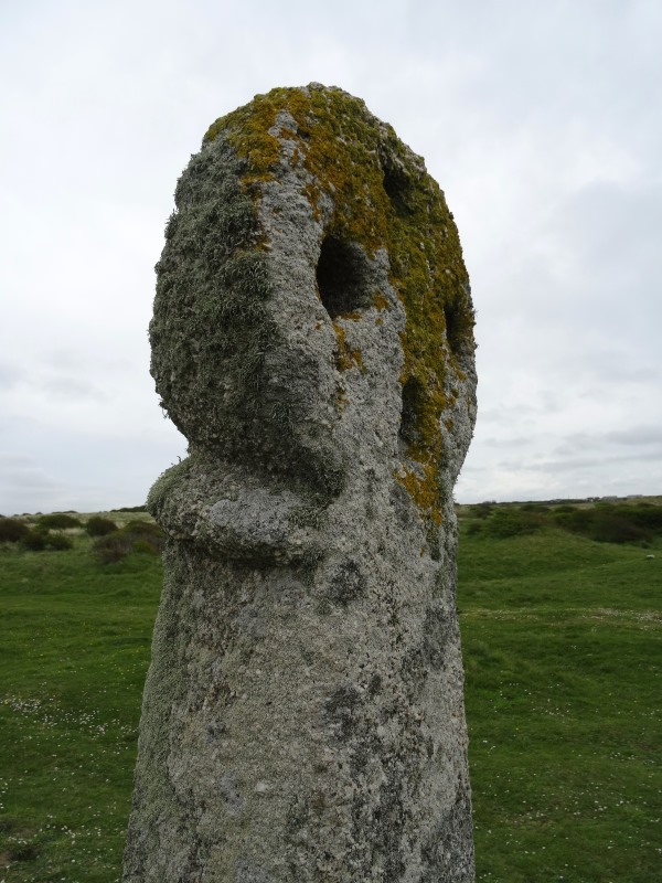 The lichen seems to cling to the seaward sides of the cross.