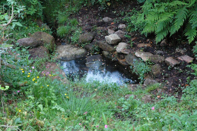 Madron Well [Madron Holy Well] Holy Well or Sacred Spring : The ...