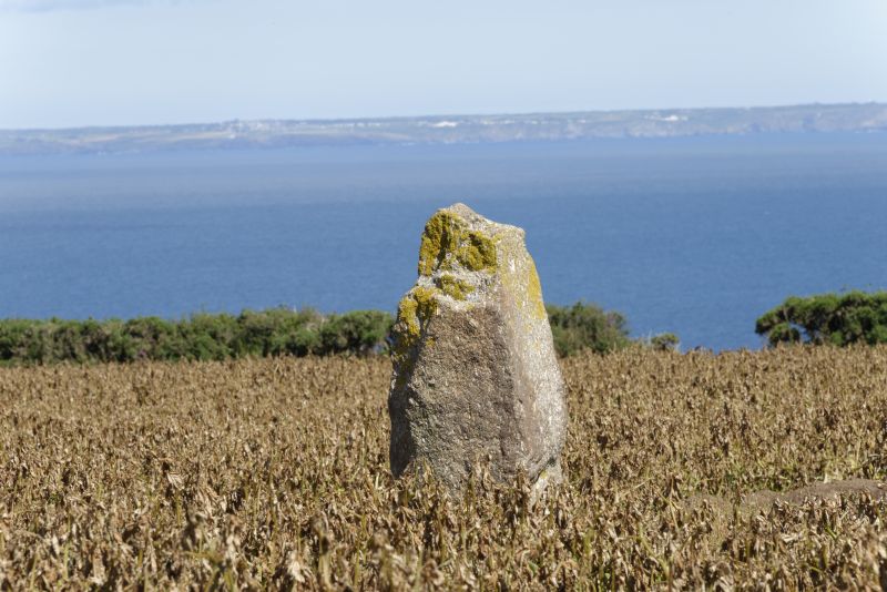 Swingate C menhir.