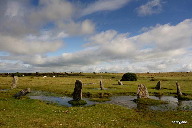 Nine Stones (Altarnun)