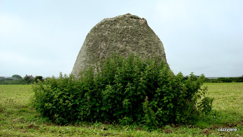 Kerris Menhir, June 2011.  A lovely rounded stone which stands at 10.7 ft.