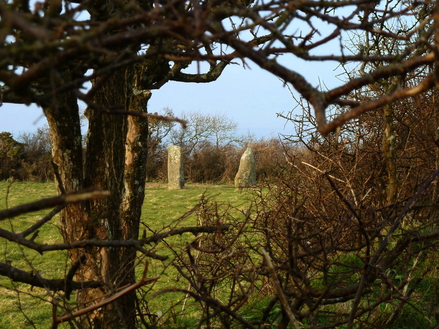 Looking though the bushes on the bank of the inner enclosure at the standing stones.
