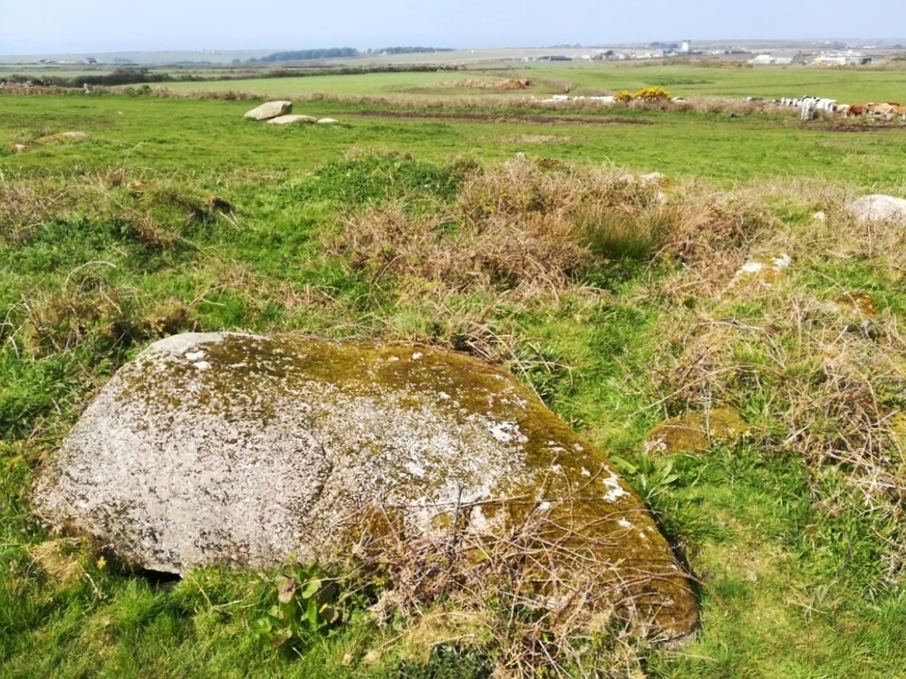 Carn Brea Hut Circle, Showing the outcrop that was incorporated into the makeup of the Hut