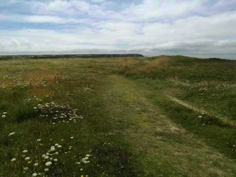 Halzephron Barrows, Looking at the position where the only barrow ever shown on any map is, not a lot to see on site but there's definitely 