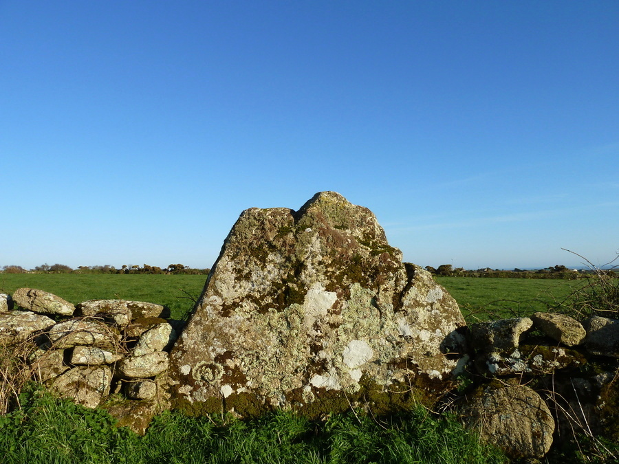 Banns Farm menhir.  A big stone that rests on other stones and isn't in the ground at all.  A very doubtful menhir indeed, I'd say it isn't at all.
