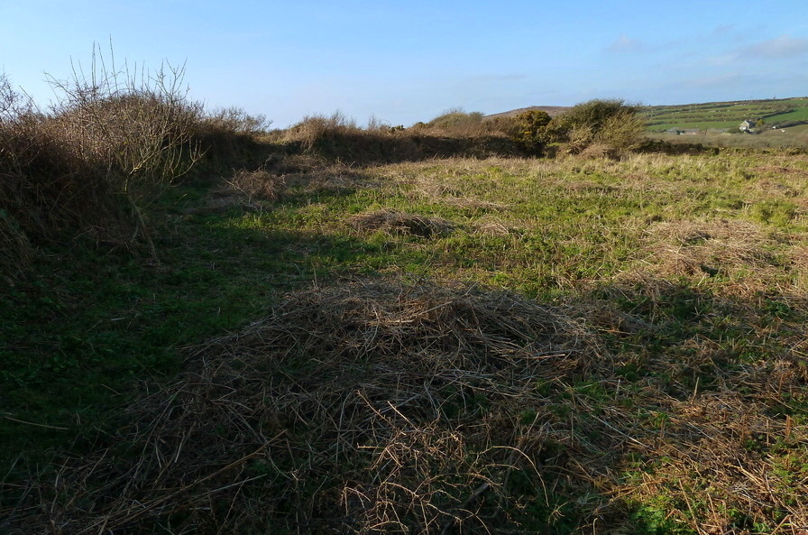 The West side of Trewern Round.

