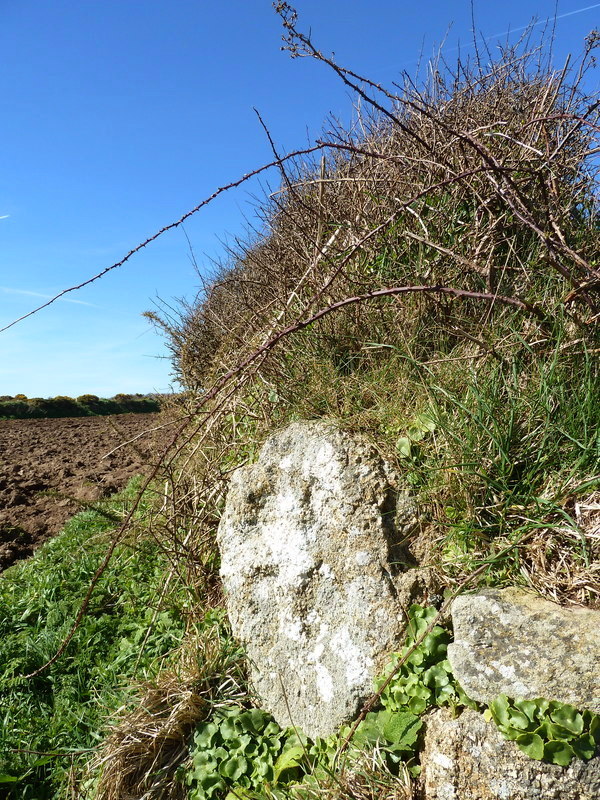 Lower Roskestal Cross