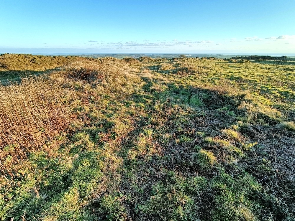 Showing the bank of the Eastern Hut/Ring Cairn