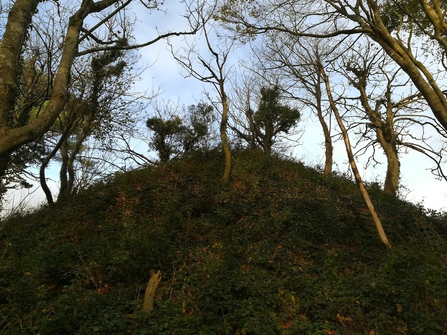The large mound (unknown age) in the middle of the circular enclosure from the South