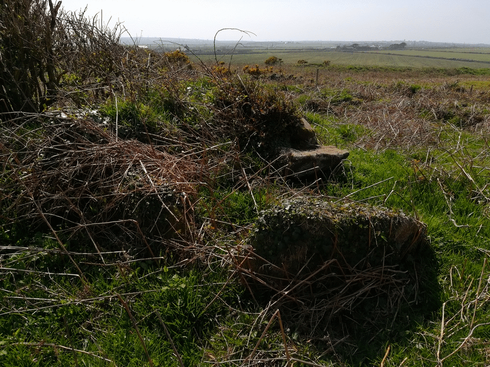 Kerrow Chambered Cairn, Kerbstones and Chamber