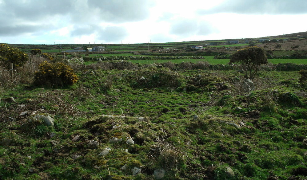 Carne Farm Settlement (Crofto) is actually found at SW403348.  It's a disgrace farmers are allowed to (and do) put their cattle on these very rare sites.  Pastscape says - The remains of four courtyard houses. Here is a large hut at the site.