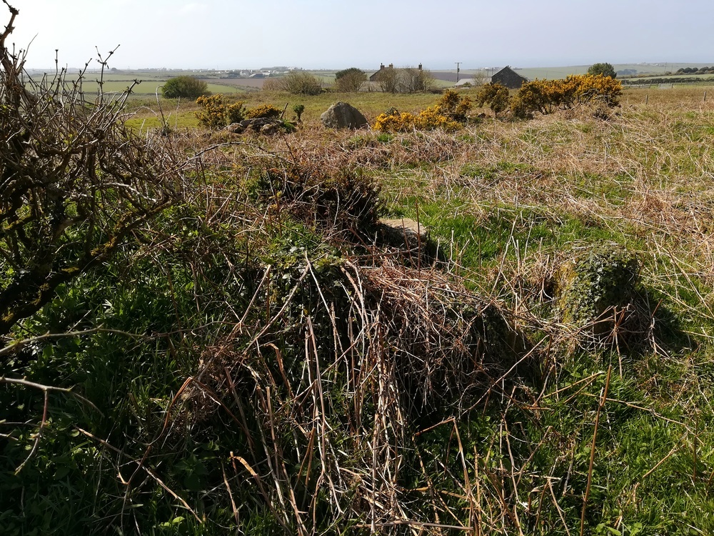 Kerrow Chambered Cairn, Looking West over the remaining overgrown Kerbstones and Chamber