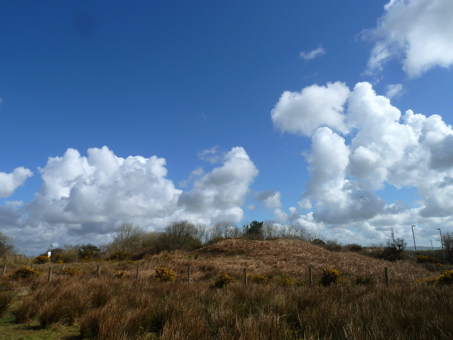 Warren's Barrow.