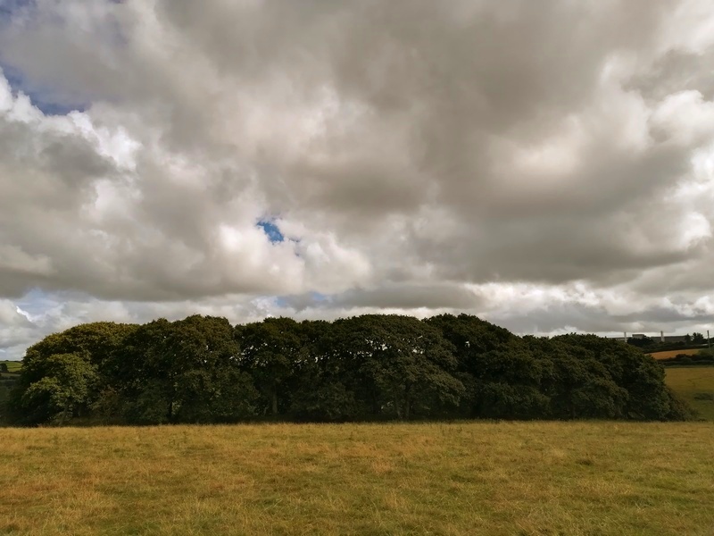 Penventinnie Round, From the West, The fort hasn't been built on the hilltop but on on a South Eastern facing Slope