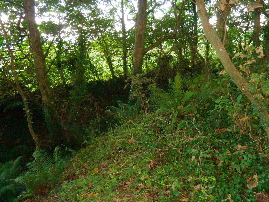 The Southern bank and ditch at Lesingey Round.