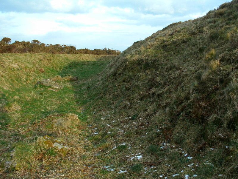 The highest and steepest part of the bank and ditch in the Northern part of Caer Bran Hillfort, This is the Eastern side of the NW entrance.