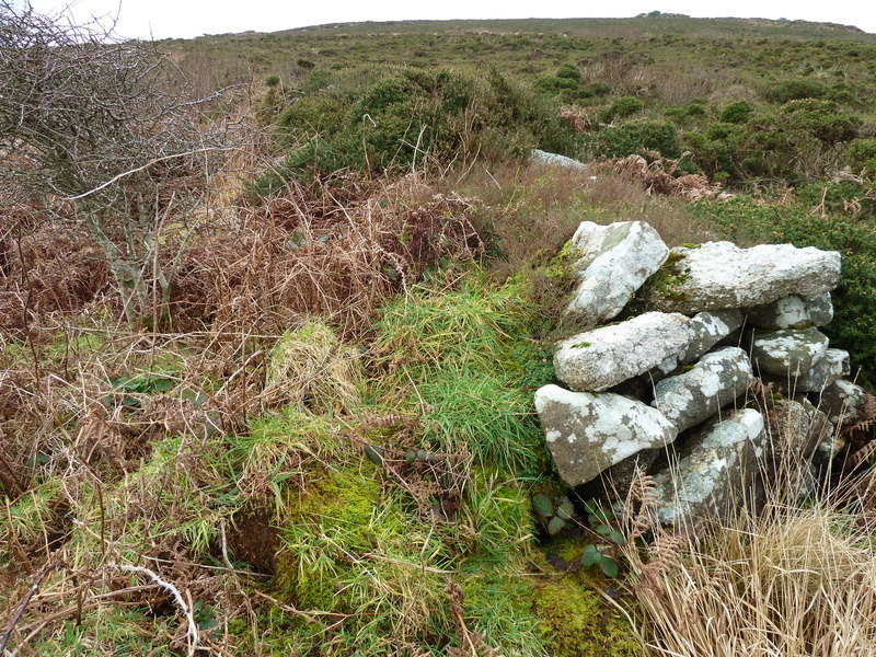 Sperris Croft settlement, Walling at a hut just to the West of the path.