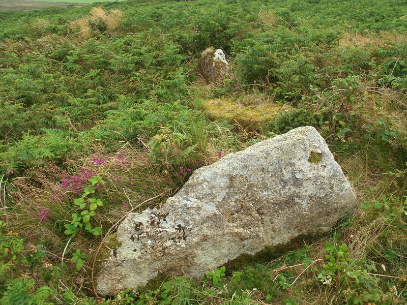 Trewey Hill, Large stones at the hut circle, SW460375.