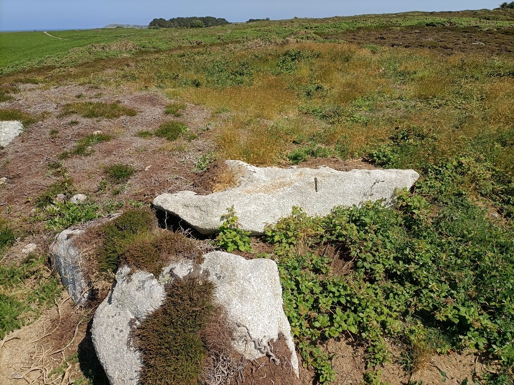 Tinkler's Point Entrance Grave, Showing some large stones on the NW side of the Cairn, They look like they might have once been a capstone and a couple of entrance stones of the chamber