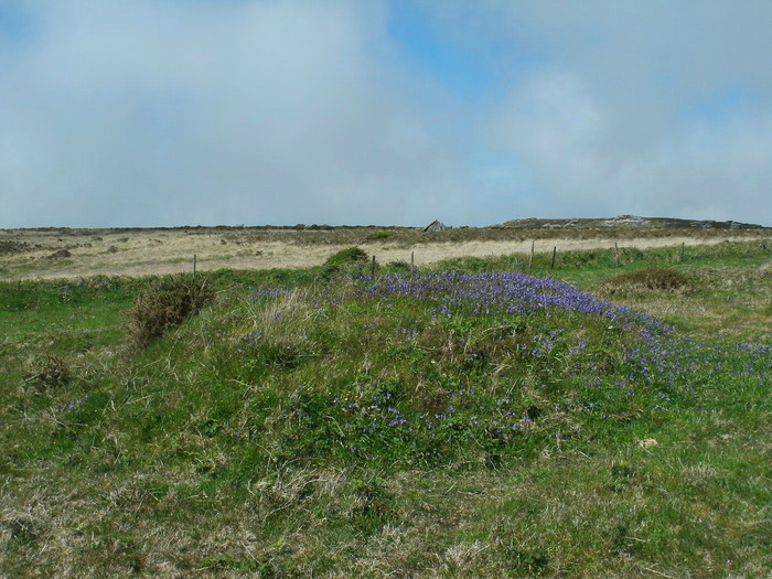 Zennor tumuli, The tumulus at SW46853782, With Zennor quoit behind and Sperris hill behind the quoit.