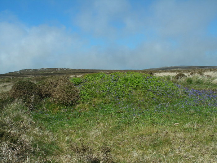 Zennor tumuli, The tumulus at SW46953776, Looking North East towards Sperris hill [left] and Trendrine hill [right].