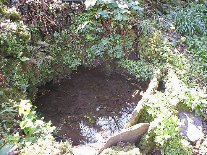 St Mathiana's Well