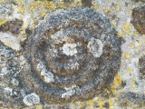Kerris Spiral Stone - PID:274064