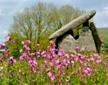 Trethevy Quoit - PID:121191