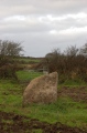 Boswarthen menhir - PID:30126