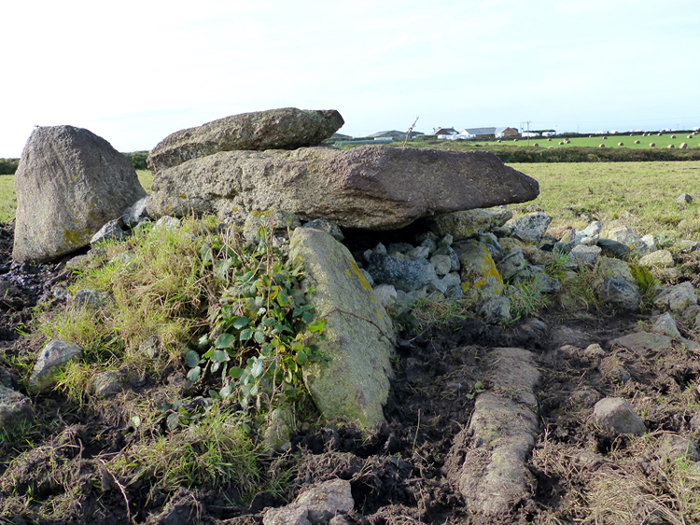 The stones have been trampled and defaced by cattle