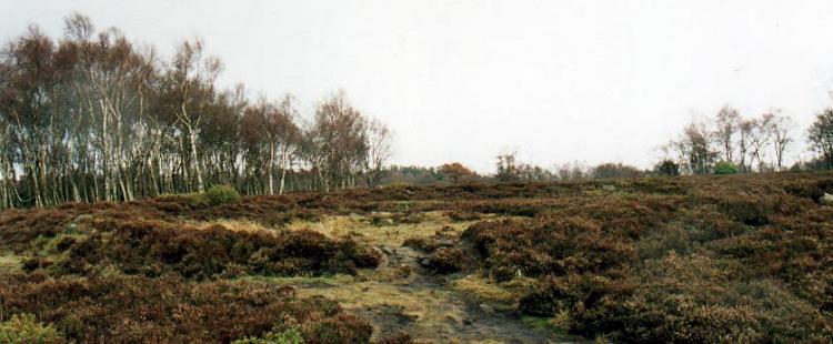 General view of Stanton Moor III (Derbyshire)